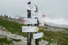 P1110645_zmensena