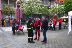 P1109322_zmensena