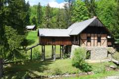 P1109561-kopia_zmensena