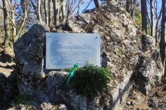 03_zmensena
