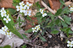04