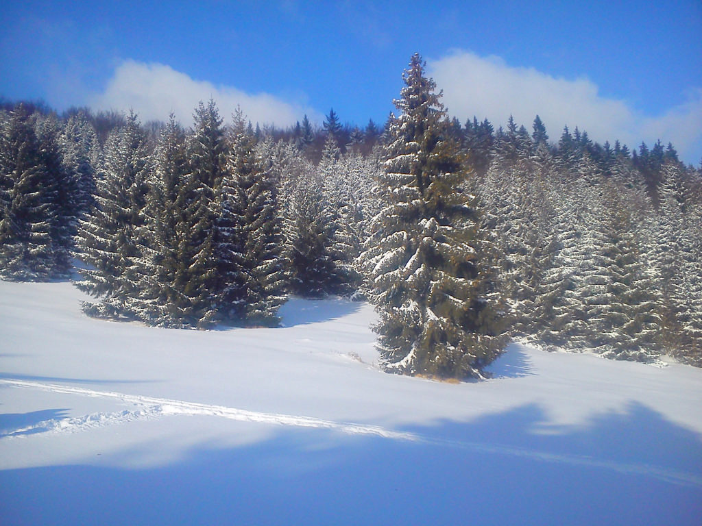 Tlstá hora  6.1.2017
