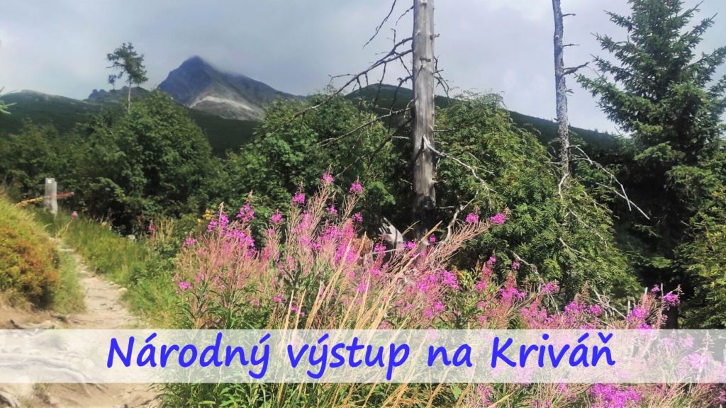 10. AUGUST 2024 – NÁRODNÝ VÝSTUP NA KRIVÁŇ