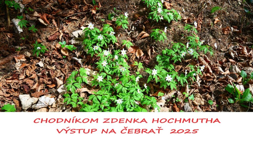 27.4.2025 VÝSTUP NA ČEBRAŤ – CHODNÍKOM ZDENKA HOCHMUTHA   IX. ROČNÍK